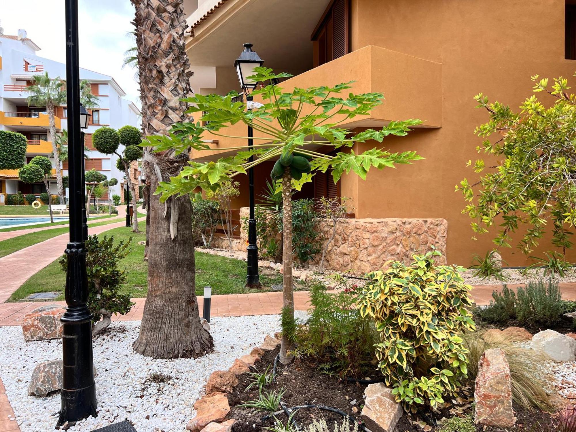 Punta Prima - Sun & Beach & Golf & Bike - Spanish South-Facing Terrace Apartment - La Recoleta - By The Sea Torrevieja Exterior foto
